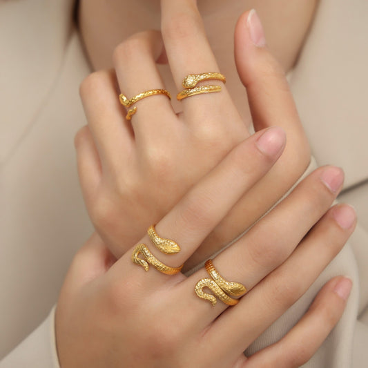 Titanium Steel Snake Shape Bypass Ring - House of Binx